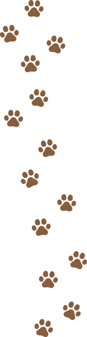 brown paw prints on a white background ideal for pet tracking or animal prints